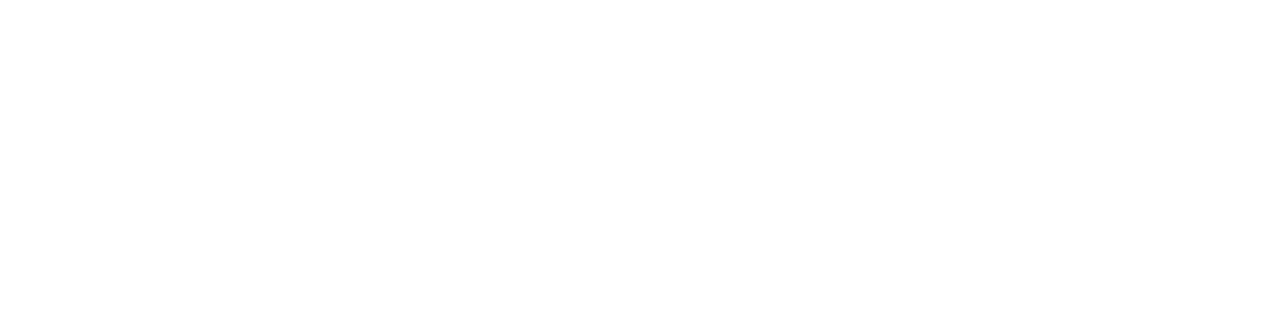 DevOpSpace_full_logo White